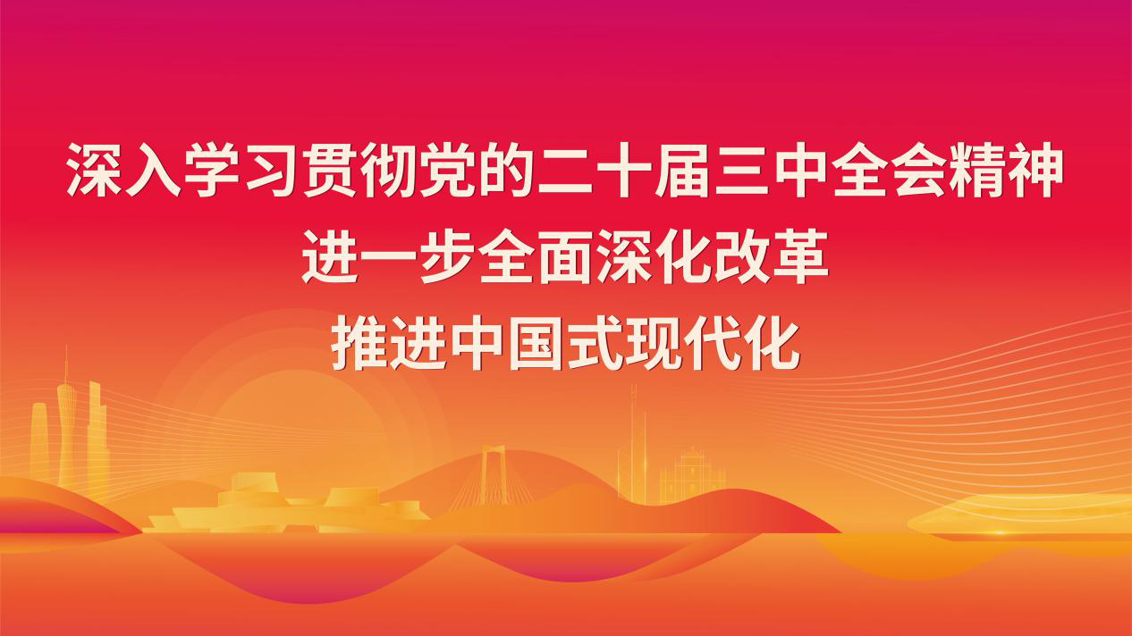 學習宣傳貫徹黨的二十屆三中全會精神.png